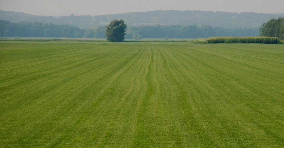 Best Neighborhoods in Nigeria to Invest in Real Estate