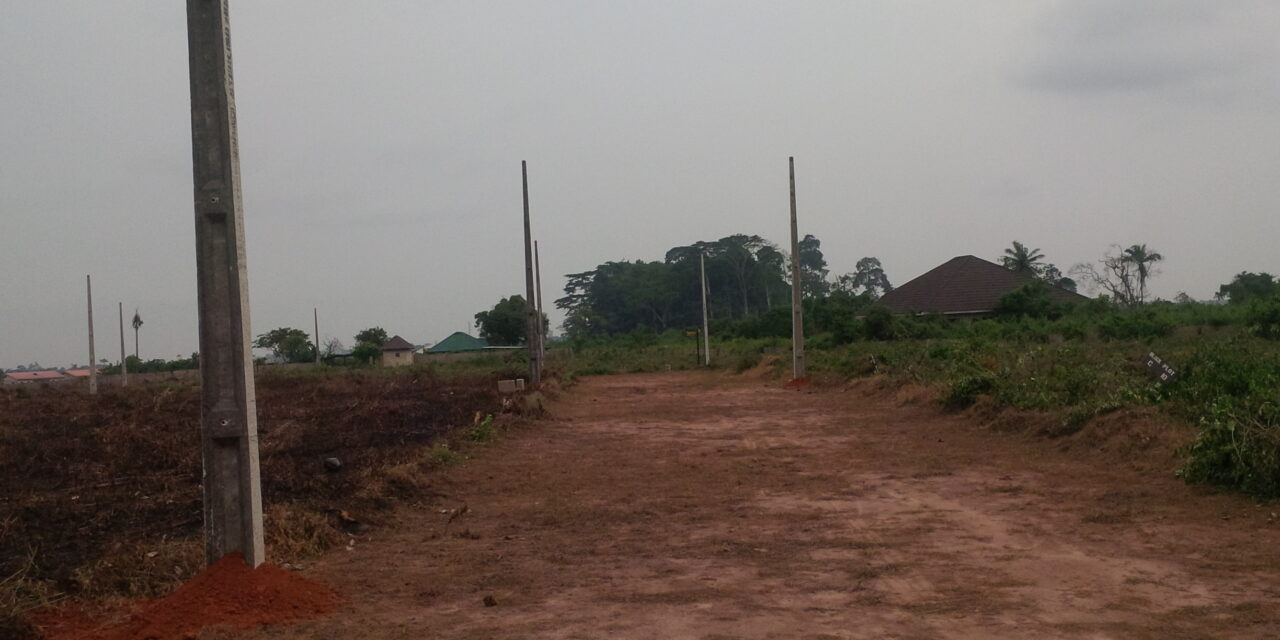 Buying A Land in Nigeria? Read This First