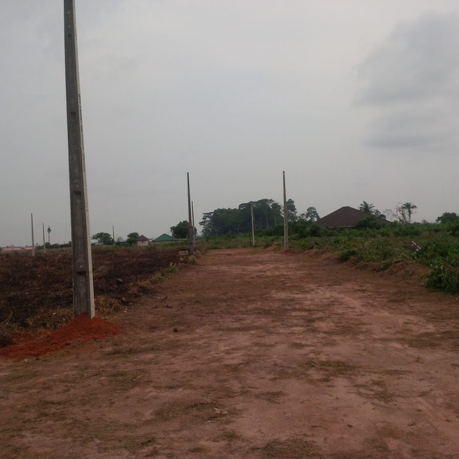 Buying A Land in Nigeria? Read This First