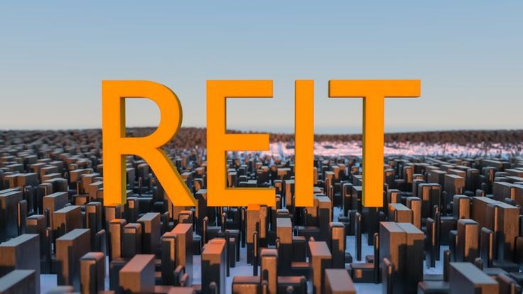 Real Estate Investment Trusts (REITs).